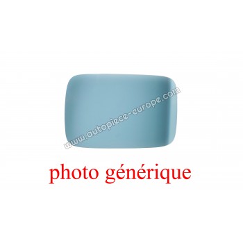 MIROIR Coté passager - Glace bombée bleutée